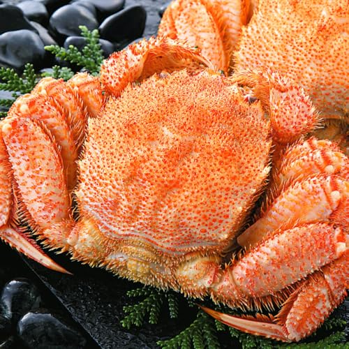 獲れたて活毛蟹若10キロ、送料込み 獲れたて活毛蟹若10キロ、送料込み